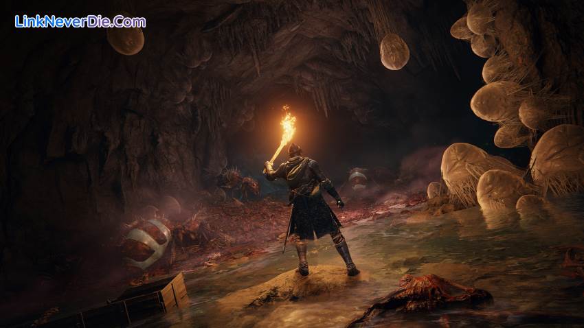 Hình ảnh trong game ELDEN RING (screenshot) Hình ảnh trong game ELDEN RING (screenshot)