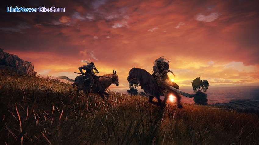 Hình ảnh trong game ELDEN RING (screenshot) Hình ảnh trong game ELDEN RING (screenshot)