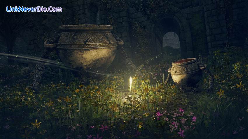 Hình ảnh trong game ELDEN RING (screenshot) Hình ảnh trong game ELDEN RING (screenshot)