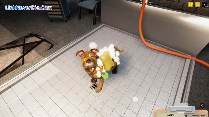 Hình ảnh trong game Animal Shelter (screenshot) Hình ảnh trong game Animal Shelter (screenshot)