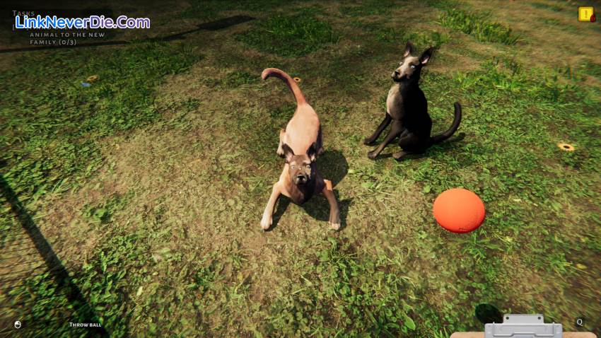 Hình ảnh trong game Animal Shelter (screenshot) Hình ảnh trong game Animal Shelter (screenshot)