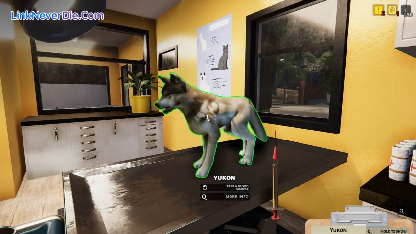 Hình ảnh trong game Animal Shelter (screenshot) Hình ảnh trong game Animal Shelter (screenshot)