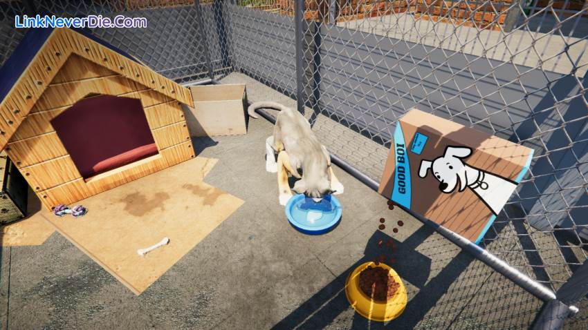 Hình ảnh trong game Animal Shelter (screenshot) Hình ảnh trong game Animal Shelter (screenshot)