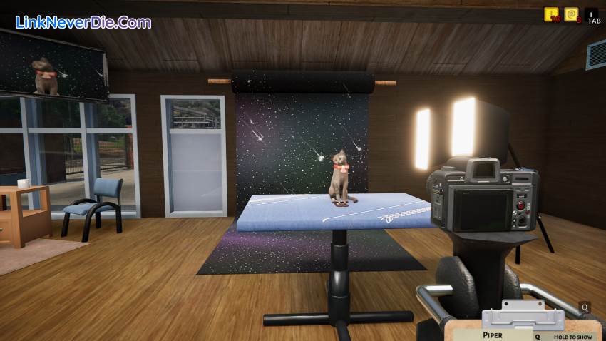 Hình ảnh trong game Animal Shelter (screenshot) Hình ảnh trong game Animal Shelter (screenshot)