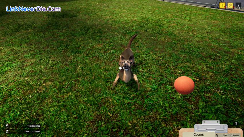 Hình ảnh trong game Animal Shelter (screenshot) Hình ảnh trong game Animal Shelter (screenshot)