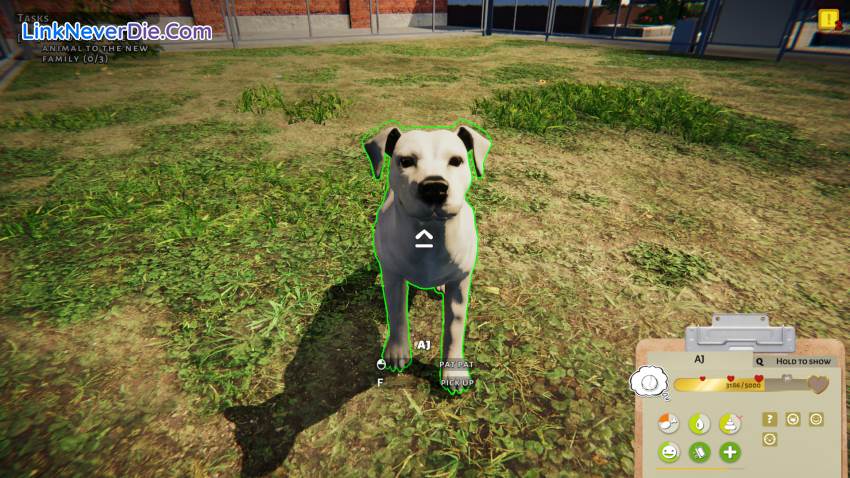 Hình ảnh trong game Animal Shelter (screenshot) Hình ảnh trong game Animal Shelter (screenshot)