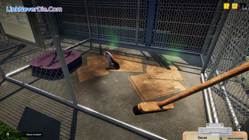 Hình ảnh trong game Animal Shelter (screenshot) Hình ảnh trong game Animal Shelter (screenshot)