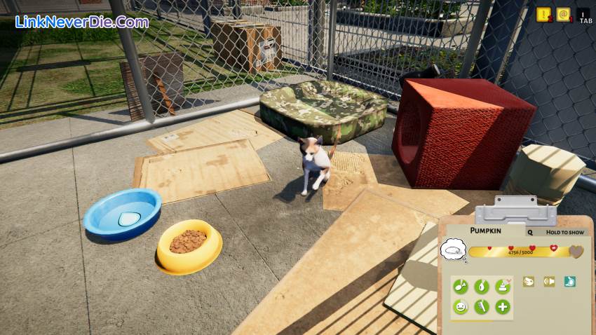 Hình ảnh trong game Animal Shelter (screenshot) Hình ảnh trong game Animal Shelter (screenshot)