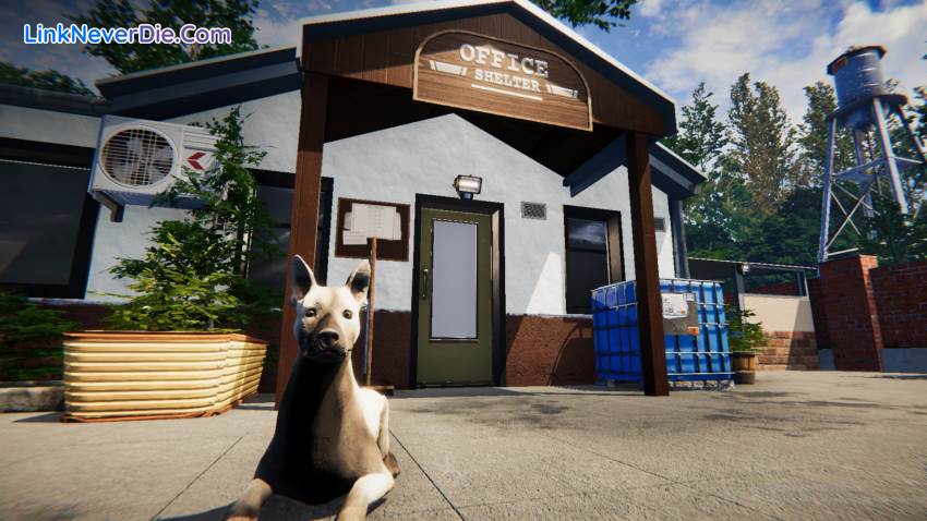 Hình ảnh trong game Animal Shelter (screenshot) Hình ảnh trong game Animal Shelter (screenshot)