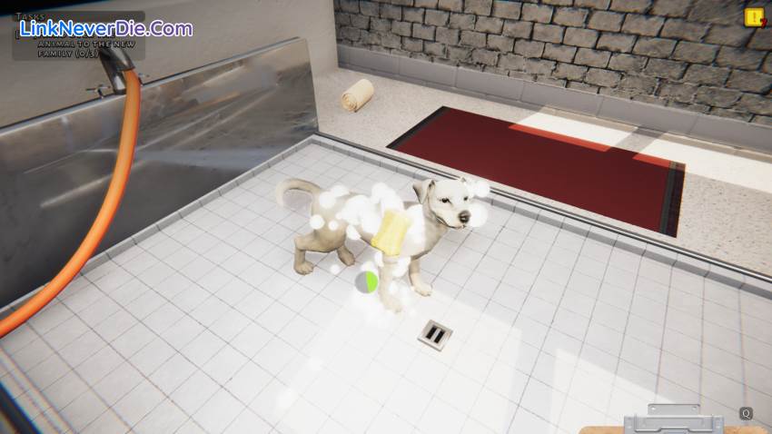 Hình ảnh trong game Animal Shelter (screenshot) Hình ảnh trong game Animal Shelter (screenshot)