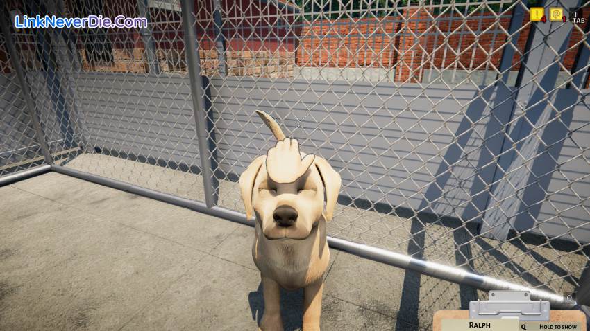 Hình ảnh trong game Animal Shelter (screenshot) Hình ảnh trong game Animal Shelter (screenshot)