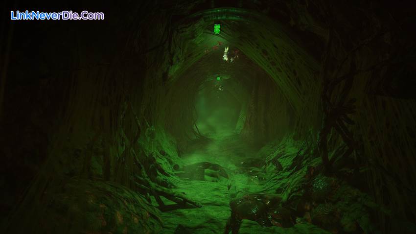 Hình ảnh trong game Transient: Extended Edition (screenshot) Hình ảnh trong game Transient: Extended Edition (screenshot)