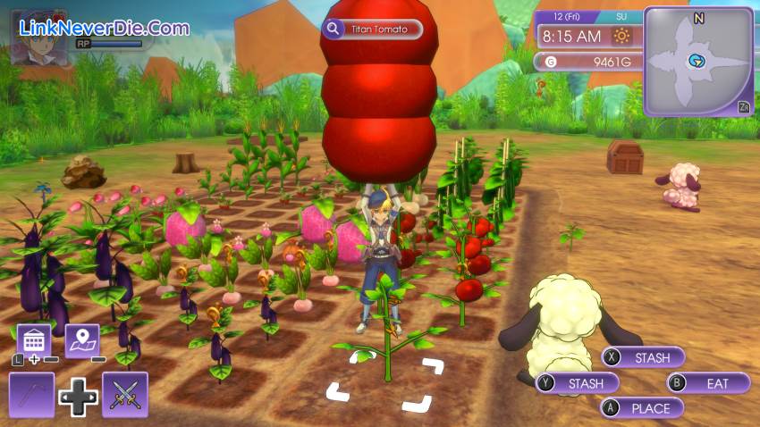 Hình ảnh trong game Rune Factory 5 (screenshot) Hình ảnh trong game Rune Factory 5 (screenshot)
