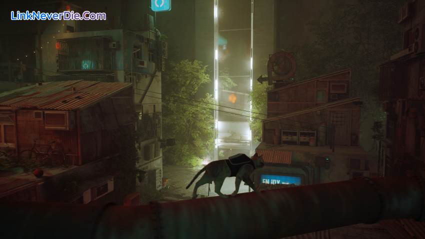 Hình ảnh trong game Stray (screenshot) Hình ảnh trong game Stray (screenshot)