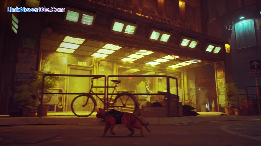 Hình ảnh trong game Stray (screenshot) Hình ảnh trong game Stray (screenshot)