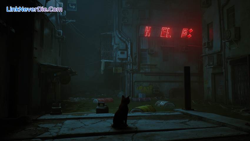 Hình ảnh trong game Stray (screenshot) Hình ảnh trong game Stray (screenshot)