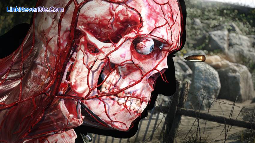 Hình ảnh trong game Sniper Elite 5 (screenshot) Hình ảnh trong game Sniper Elite 5 (screenshot)