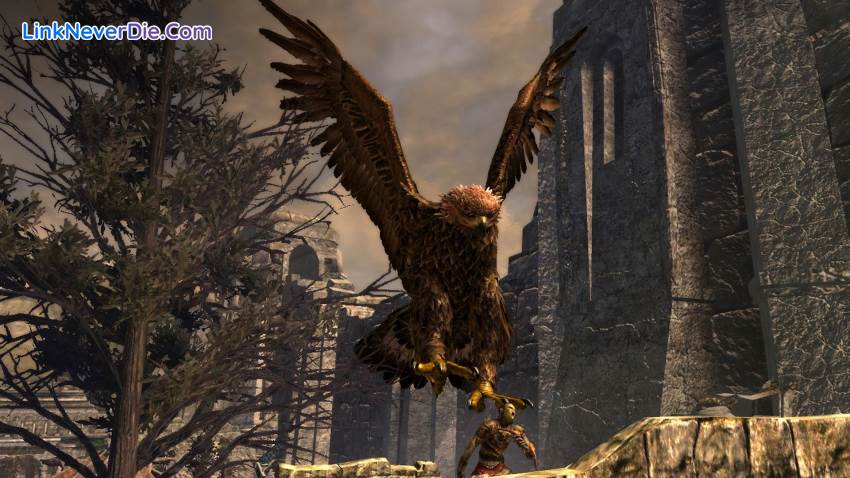 Hình ảnh trong game The Lord of the Rings: War in the North (screenshot) Hình ảnh trong game The Lord of the Rings: War in the North (screenshot)