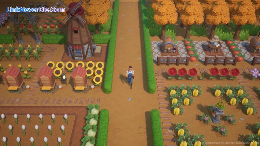 Hình ảnh trong game Coral Island (screenshot) Hình ảnh trong game Coral Island (screenshot)