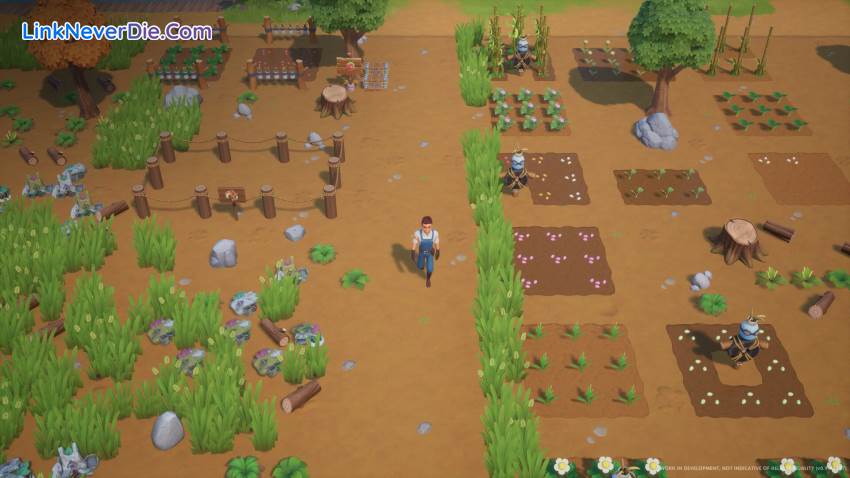 Hình ảnh trong game Coral Island (screenshot) Hình ảnh trong game Coral Island (screenshot)