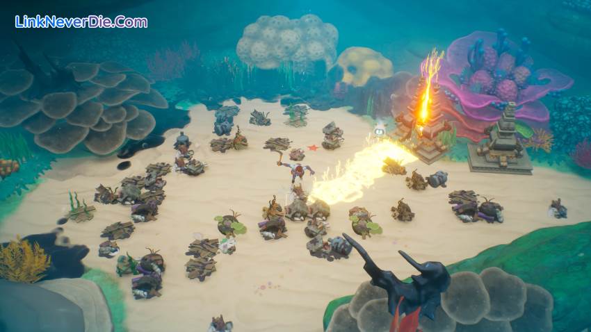 Hình ảnh trong game Coral Island (screenshot) Hình ảnh trong game Coral Island (screenshot)