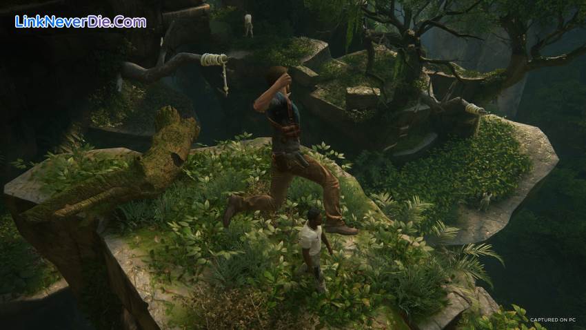 Hình ảnh trong game UNCHARTED: Legacy of Thieves Collection (screenshot) Hình ảnh trong game UNCHARTED: Legacy of Thieves Collection (screenshot)