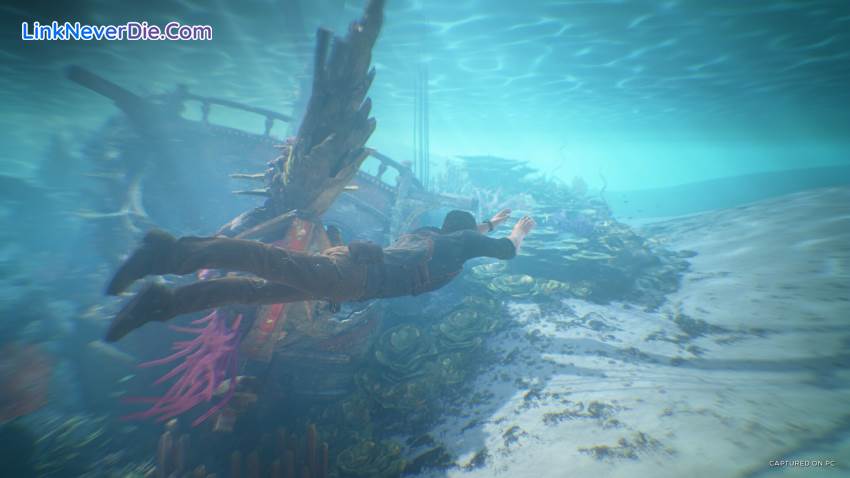 Hình ảnh trong game UNCHARTED: Legacy of Thieves Collection (screenshot) Hình ảnh trong game UNCHARTED: Legacy of Thieves Collection (screenshot)