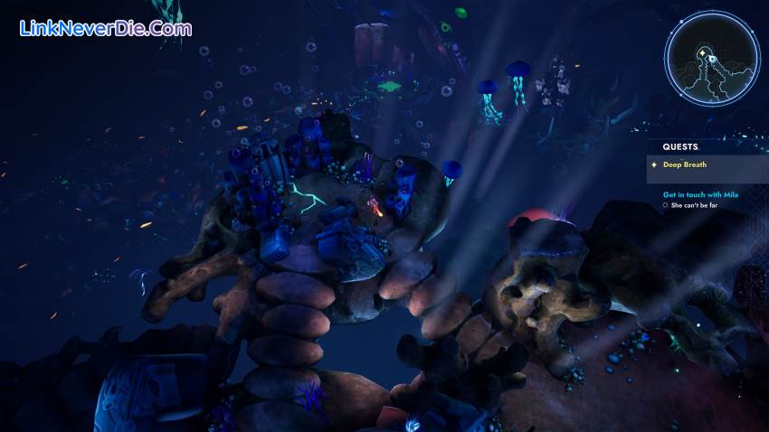 Hình ảnh trong game Batora: Lost Haven (screenshot) Hình ảnh trong game Batora: Lost Haven (screenshot)
