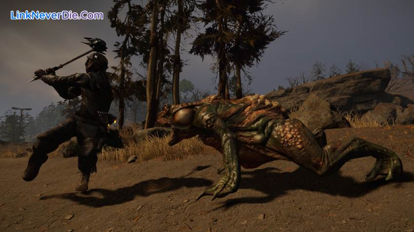 Hình ảnh trong game ELEX II (screenshot) Hình ảnh trong game ELEX II (screenshot)