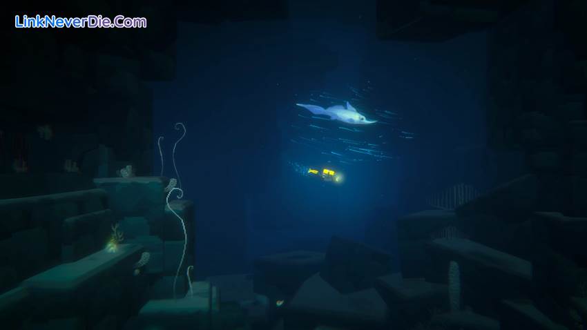 Hình ảnh trong game DAVE THE DIVER (screenshot) Hình ảnh trong game DAVE THE DIVER (screenshot)