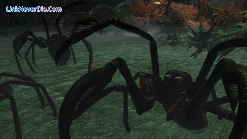 Hình ảnh trong game The Dark Eye Demonicon (screenshot) Hình ảnh trong game The Dark Eye Demonicon (screenshot)