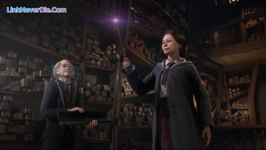 Hình ảnh trong game Hogwarts Legacy (screenshot) Hình ảnh trong game Hogwarts Legacy (screenshot)