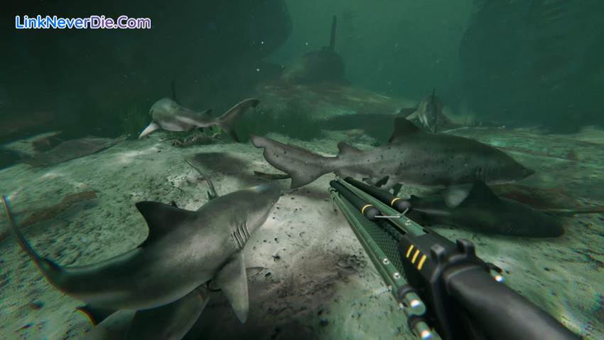 Hình ảnh trong game Death in the Water 2 (screenshot) Hình ảnh trong game Death in the Water 2 (screenshot)