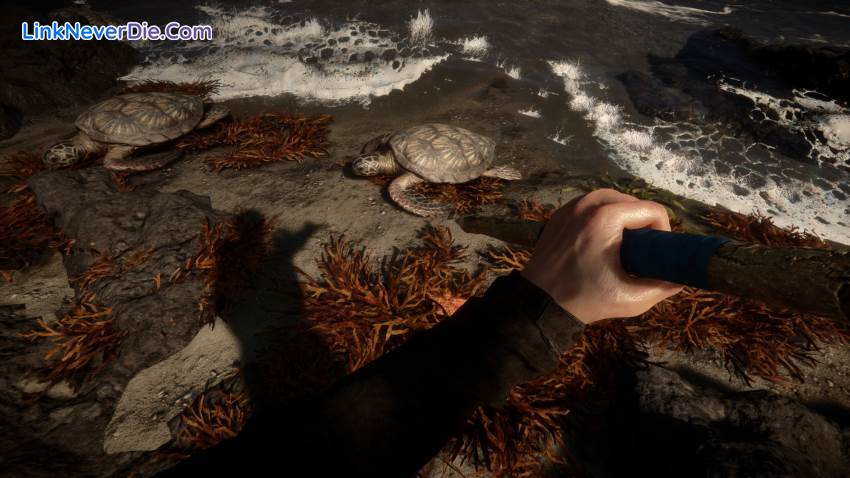 Hình ảnh trong game Sons Of The Forest (screenshot) Hình ảnh trong game Sons Of The Forest (screenshot)