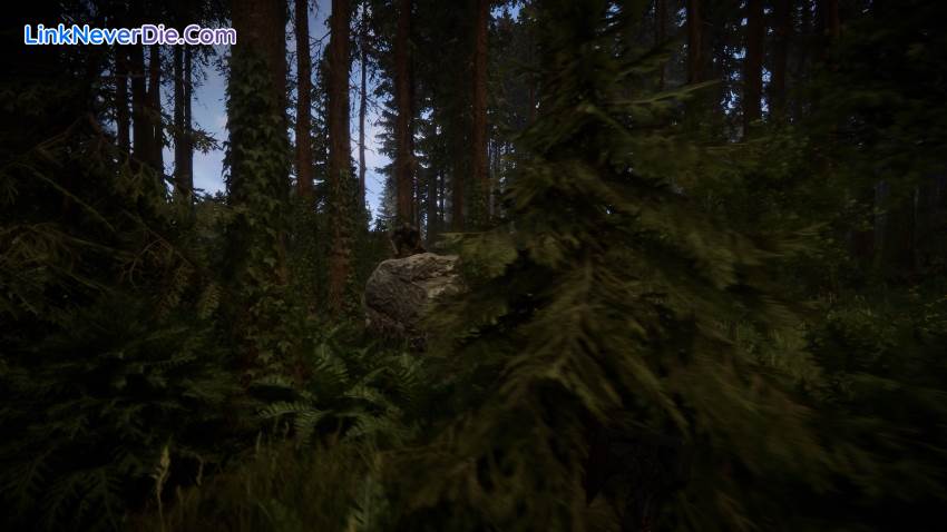 Hình ảnh trong game Sons Of The Forest (screenshot) Hình ảnh trong game Sons Of The Forest (screenshot)