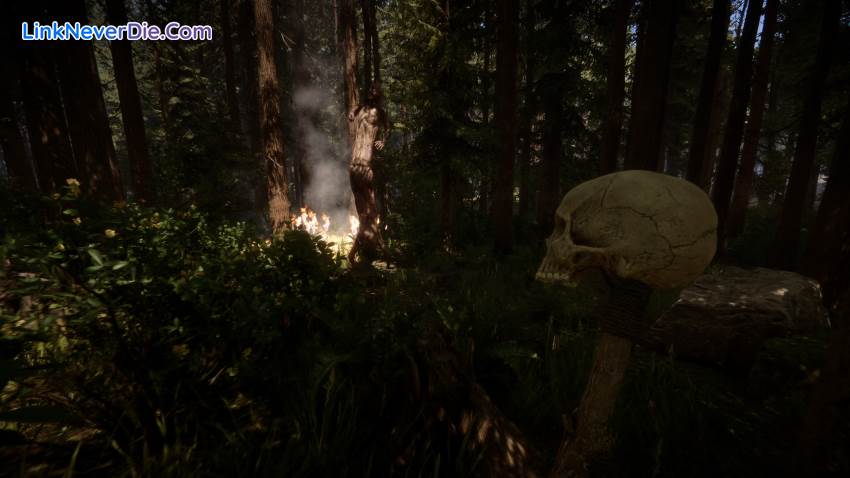 Hình ảnh trong game Sons Of The Forest (screenshot) Hình ảnh trong game Sons Of The Forest (screenshot)