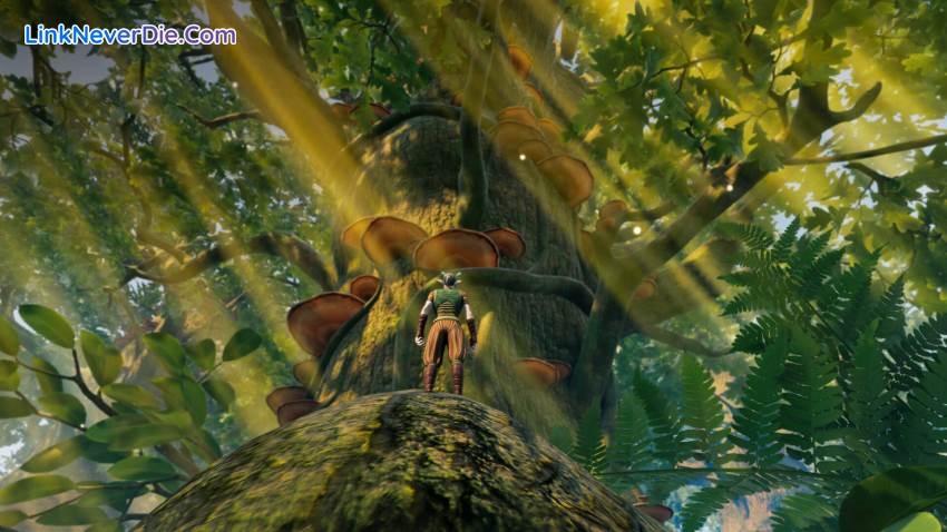 Hình ảnh trong game Smalland: Survive the Wilds (screenshot) Hình ảnh trong game Smalland: Survive the Wilds (screenshot)