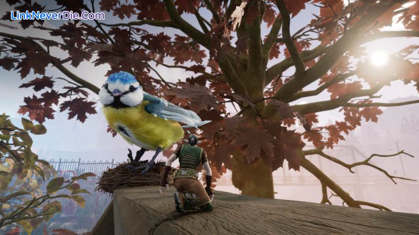 Hình ảnh trong game Smalland: Survive the Wilds (screenshot) Hình ảnh trong game Smalland: Survive the Wilds (screenshot)