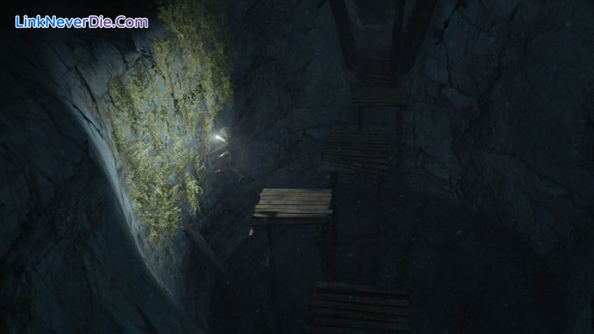 Hình ảnh trong game Bramble: The Mountain King (screenshot) Hình ảnh trong game Bramble: The Mountain King (screenshot)