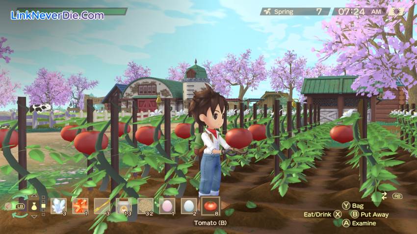 Hình ảnh trong game STORY OF SEASONS: A Wonderful Life (screenshot) Hình ảnh trong game STORY OF SEASONS: A Wonderful Life (screenshot)