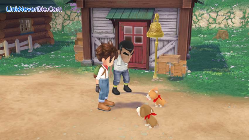 Hình ảnh trong game STORY OF SEASONS: A Wonderful Life (screenshot) Hình ảnh trong game STORY OF SEASONS: A Wonderful Life (screenshot)