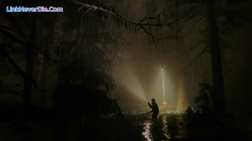 Hình ảnh trong game Alan Wake 2 (screenshot) Hình ảnh trong game Alan Wake 2 (screenshot)
