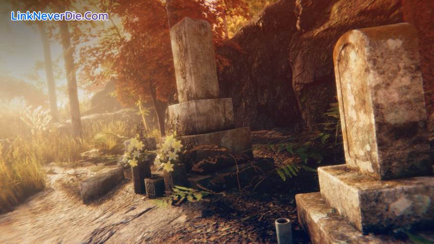 Hình ảnh trong game Hollow Cocoon (screenshot) Hình ảnh trong game Hollow Cocoon (screenshot)