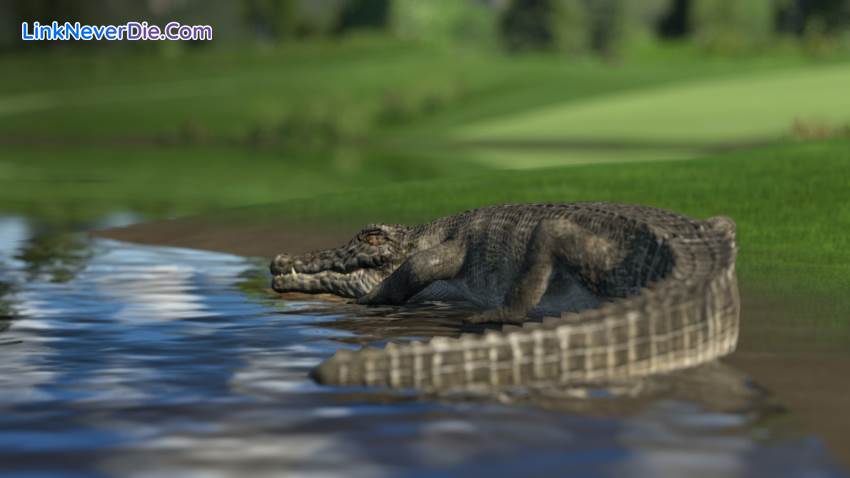 Hình ảnh trong game The Golf Club - Collectors Edition (screenshot) Hình ảnh trong game The Golf Club - Collectors Edition (screenshot)