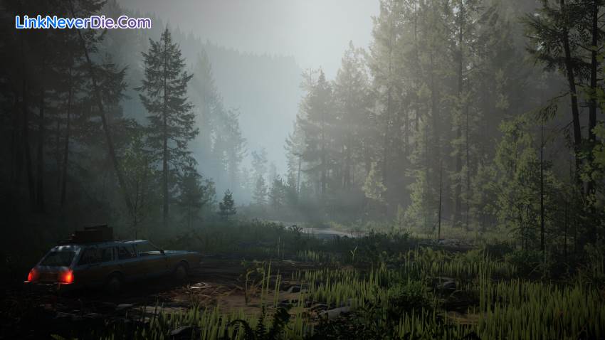 Hình ảnh trong game Pacific Drive (screenshot) Hình ảnh trong game Pacific Drive (screenshot)