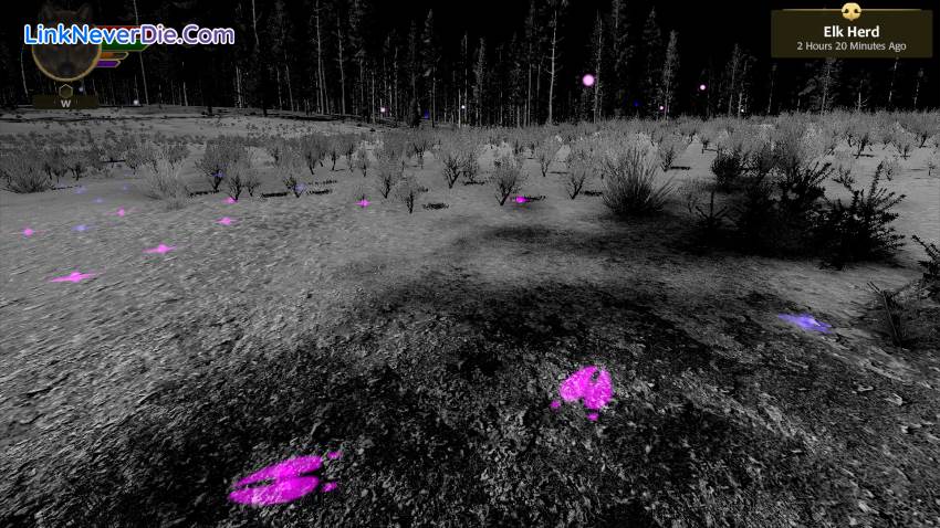 Hình ảnh trong game WolfQuest: Anniversary Edition (screenshot) Hình ảnh trong game WolfQuest: Anniversary Edition (screenshot)