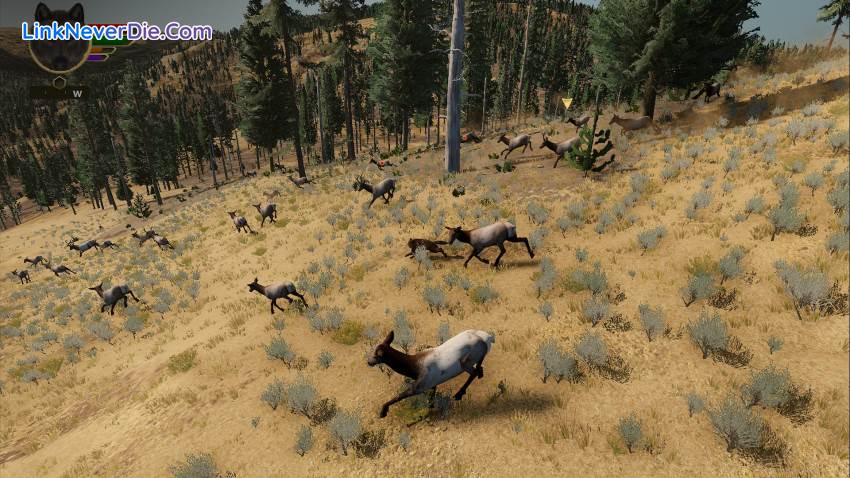 Hình ảnh trong game WolfQuest: Anniversary Edition (screenshot) Hình ảnh trong game WolfQuest: Anniversary Edition (screenshot)