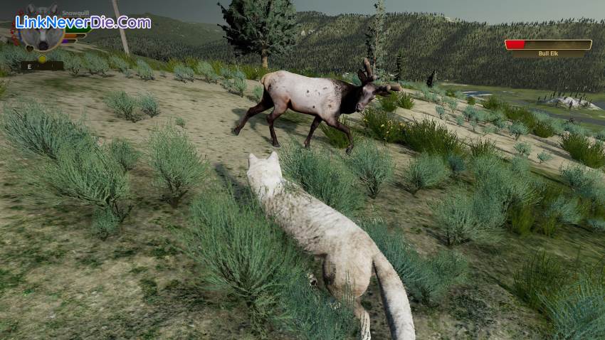 Hình ảnh trong game WolfQuest: Anniversary Edition (screenshot) Hình ảnh trong game WolfQuest: Anniversary Edition (screenshot)