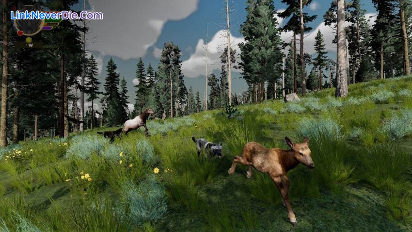 Hình ảnh trong game WolfQuest: Anniversary Edition (screenshot) Hình ảnh trong game WolfQuest: Anniversary Edition (screenshot)