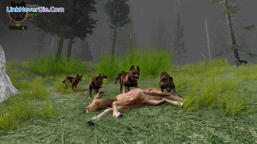 Hình ảnh trong game WolfQuest: Anniversary Edition (screenshot) Hình ảnh trong game WolfQuest: Anniversary Edition (screenshot)